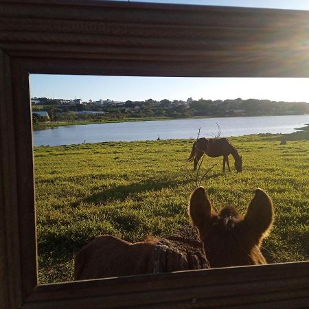Hostel Santuario De Protecao Animal Filhos De Salomao Bragança Paulista 외부 사진