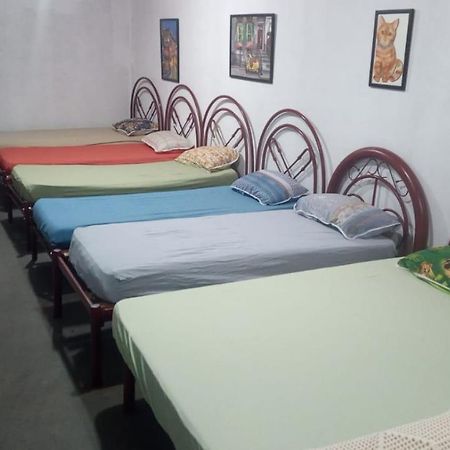 Hostel Santuario De Protecao Animal Filhos De Salomao Bragança Paulista 외부 사진