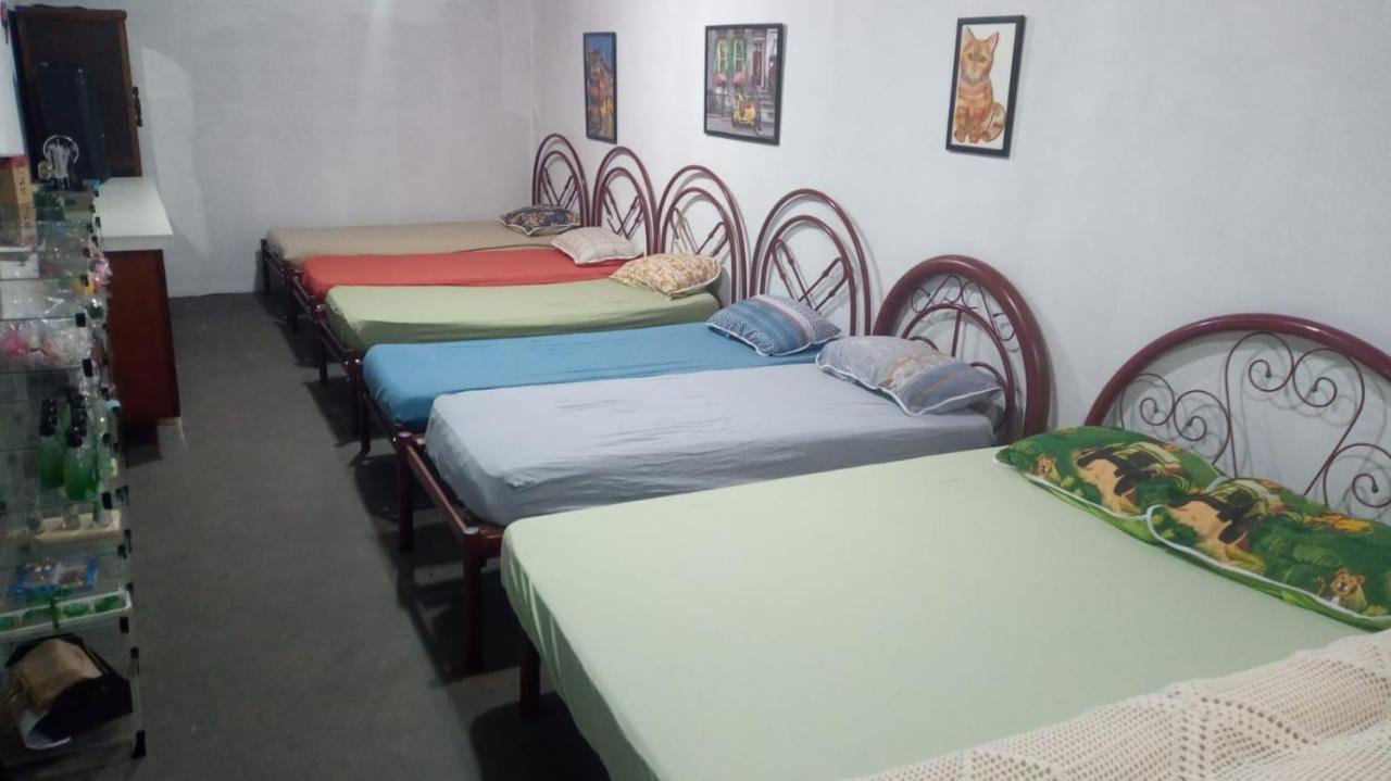 Hostel Santuario De Protecao Animal Filhos De Salomao Bragança Paulista 외부 사진