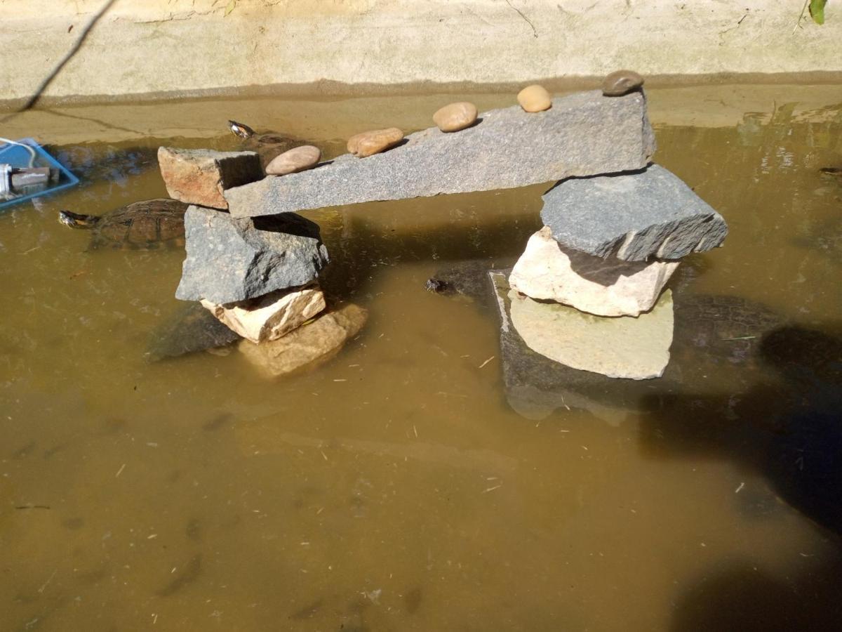 Hostel Santuario De Protecao Animal Filhos De Salomao Bragança Paulista 외부 사진