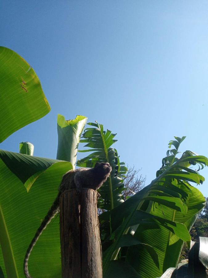 Hostel Santuario De Protecao Animal Filhos De Salomao Bragança Paulista 외부 사진